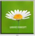 /album/photo-gallery-canvas-uri/decoratiuni-de-perete-canvas-lc-0803-jpg/
